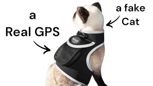 GSM GPS Collar Realtime Tracking System Dependable Android Pet Tracker Size:L
