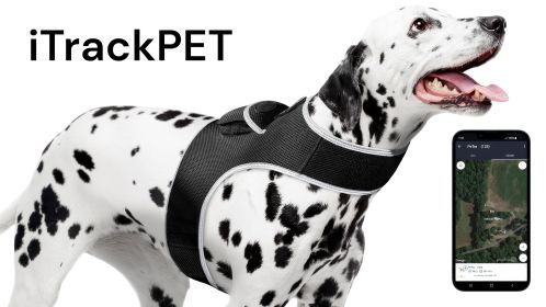 High Quality Waterproof Pocket GPS Tracker for Dogs w/ Low Power Alert Size:L
